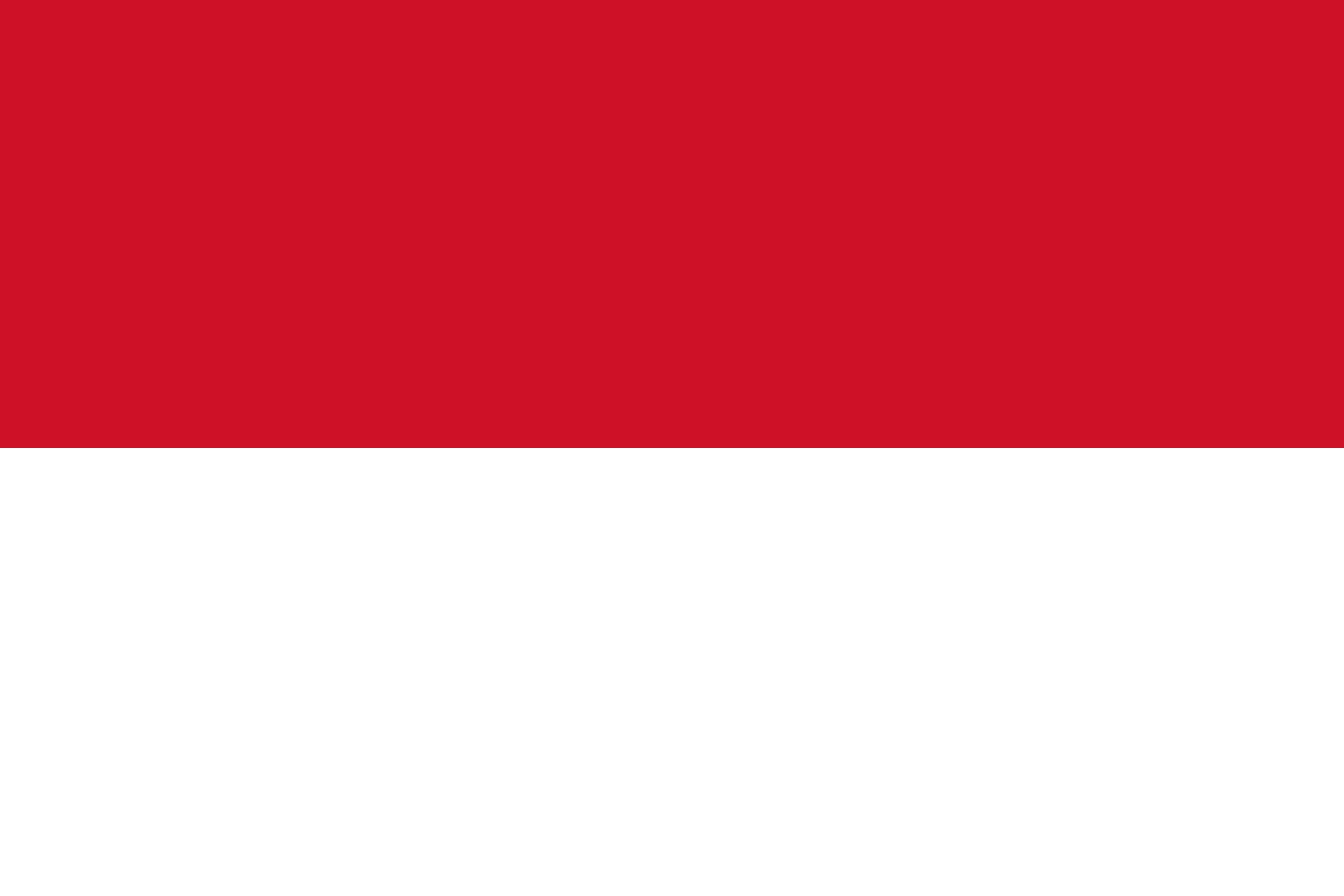 El mejor VPN de Indonesia